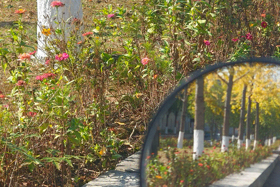 /private/var/mobile/Containers/Data/Application/1B7887E3-34FD-4A39-AEBC-0C612F5D3712/tmp/insert_image_tmp_dir/2025-12-21 19:58:30.528000.png2025-12-21 19:58:30.528000